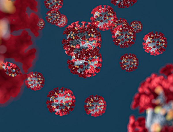 Vetipak and the coronavirus pandemic: pushing on to the finish line